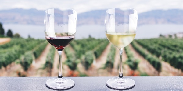 Les différences entre le vin blanc et le vin rouge